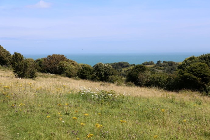 South Foreland Valley-4