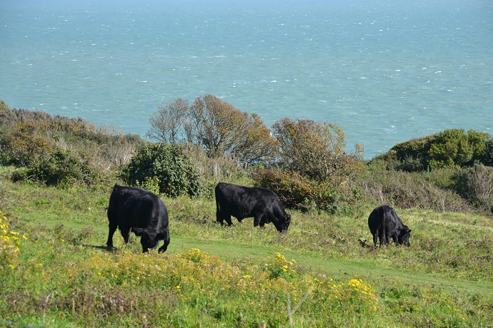 South Foreland Valley
